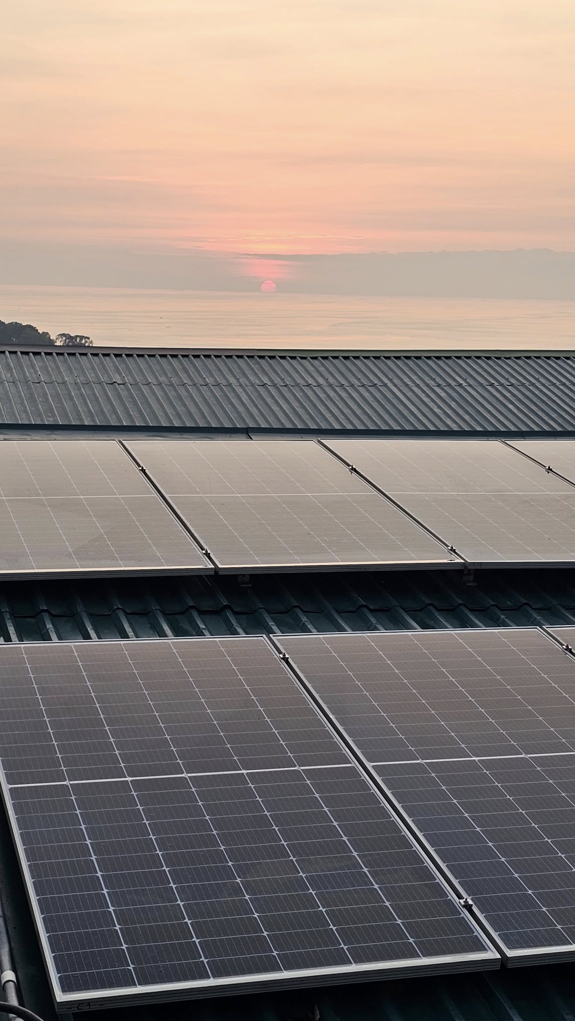 Paneles solares al atardecer